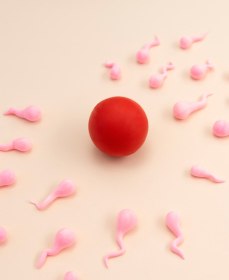 Как увеличить концентрацию сперматозоидов