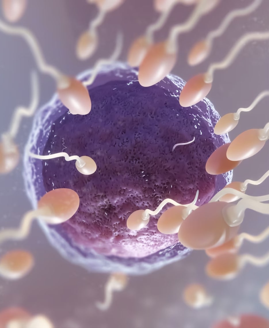 Почему уменьшается объем спермы?