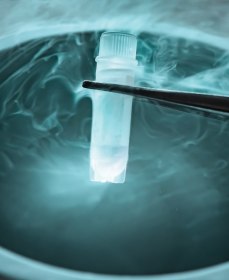 Заморозка и хранение спермы