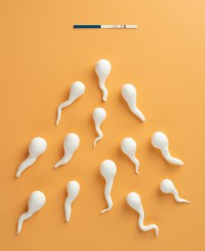 Агглютинация сперматозоидов: что это значит