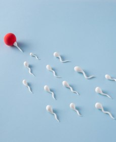 Сперматозоиды малоподвижны: что делать для повышения их активности