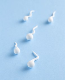 Есть ли сперматозоиды в предсеменной жидкости