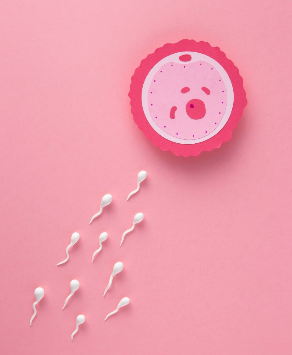 Как увеличить количество сперматозоидов и повысить фертильность | Клиника 