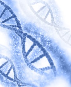 Высокая фрагментация ДНК по результатам спермограммы: что делать