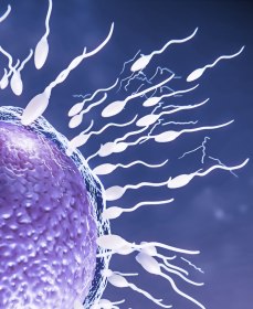 Низкая жизнеспособность сперматозоидов