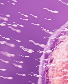 Как увеличить количество прогрессивно-подвижных сперматозоидов