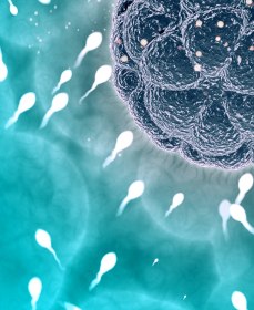 Какая должна быть концентрация сперматозоидов в эякуляте для успешного зачатия