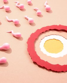 Сколько нужно сперматозоидов для зачатия ребенка