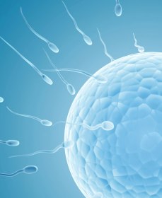 Чем опасен застой спермы для зачатия