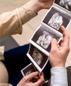 Качество спермы и развитие эмбриона