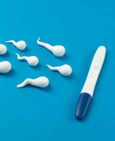 Малоподвижные сперматозоиды: можно ли забеременеть