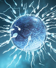 Почему вырабатывается мало спермы