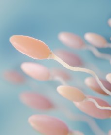 При какой подвижности спермиев возможна беременность