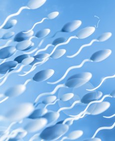 Низкая подвижность сперматозоидов