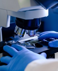 Как связаны замершие беременности и плохая спермограмма