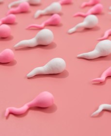 ЭКО при малоподвижных сперматозоидах