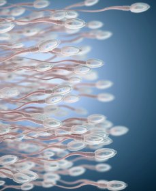 Сколько спермы нужно для зачатия ребенка