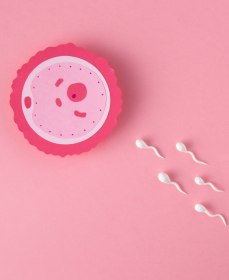 Как ускорить сперматозоиды и увеличить их подвижность